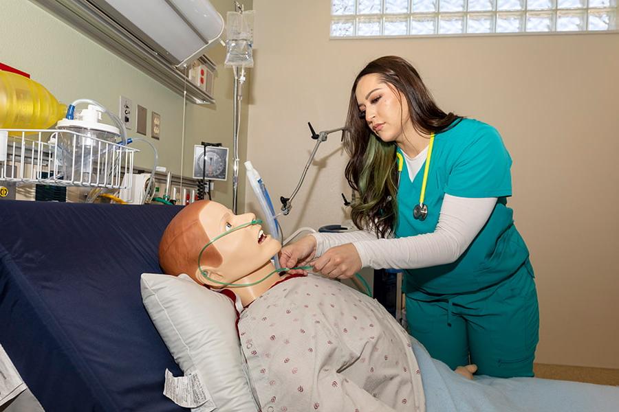 An SJC Physical Therapist Assistant student studying in the Simulation Center