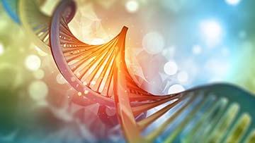 Biology image on DNA strand